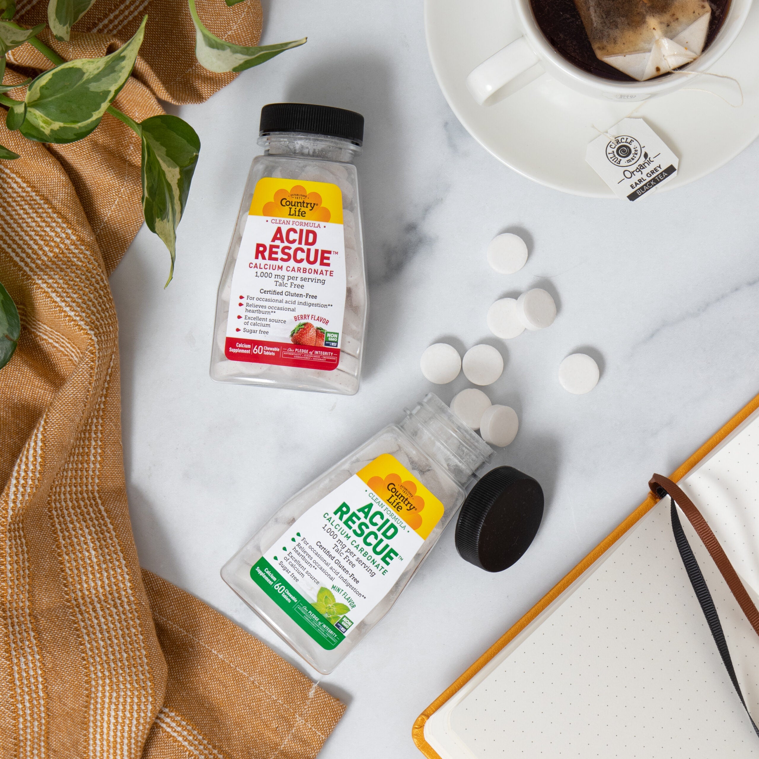 Summer Fun and Indigestion**