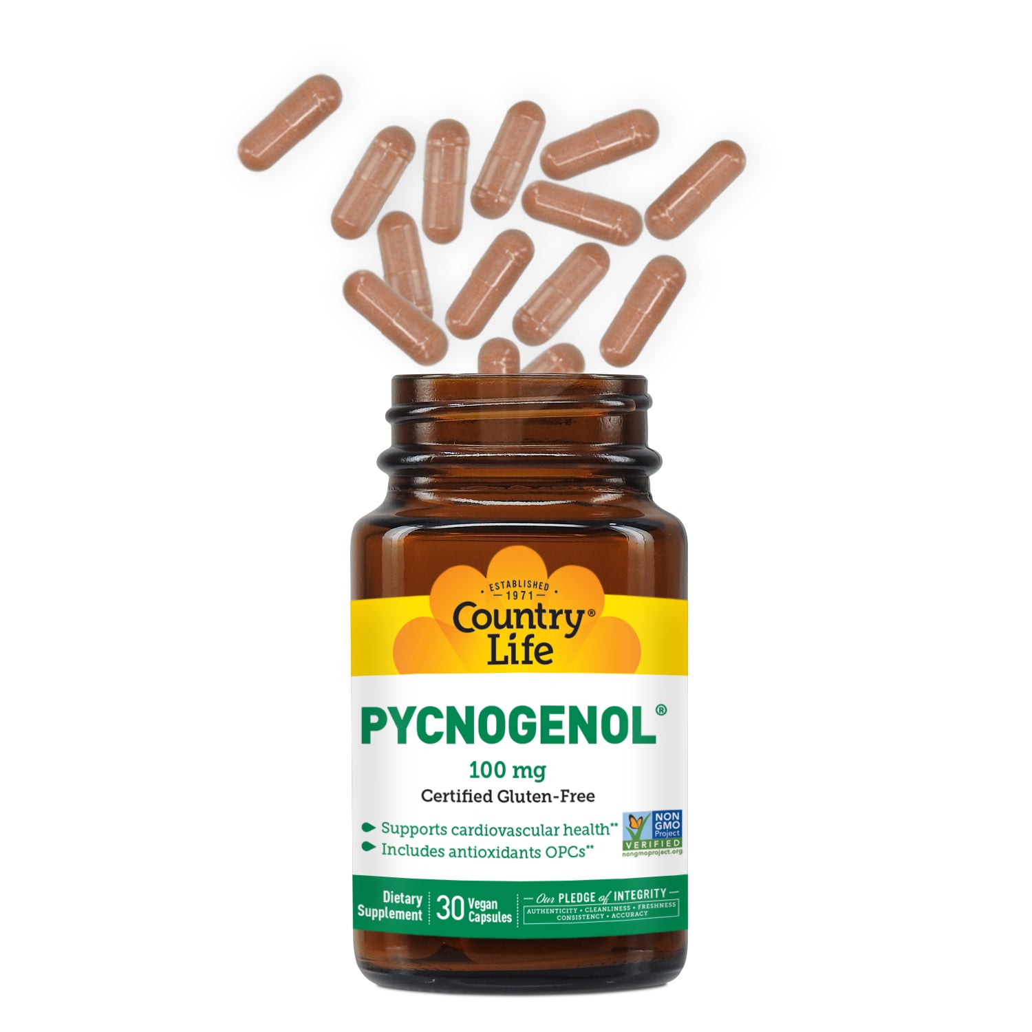 Pycnogenol 100 MG 30 Vegan Capsules with capsules coming out of bottle media carousel view 4