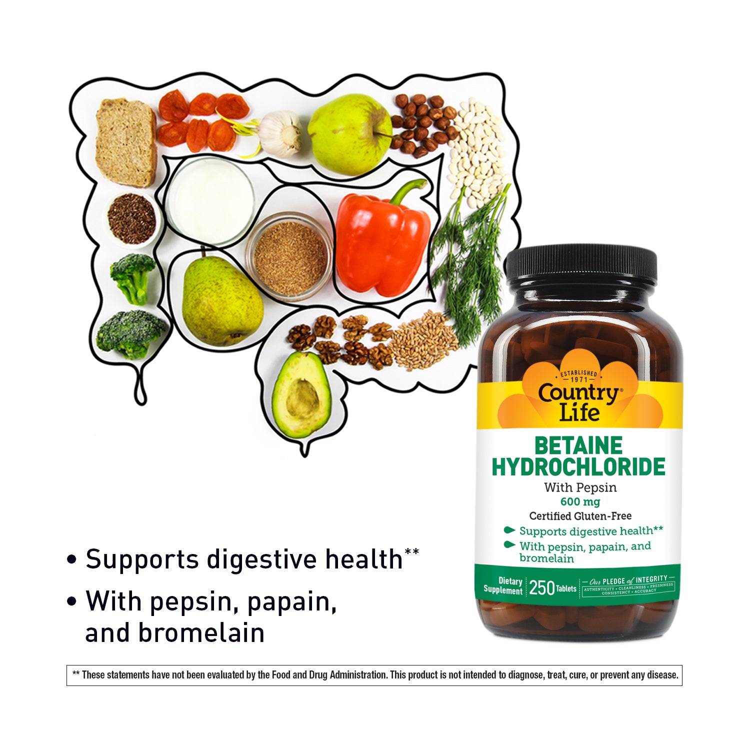 Bottle of Country Life Betaine Hydrochloride supplement with a food chart on a white background media carousel view 8