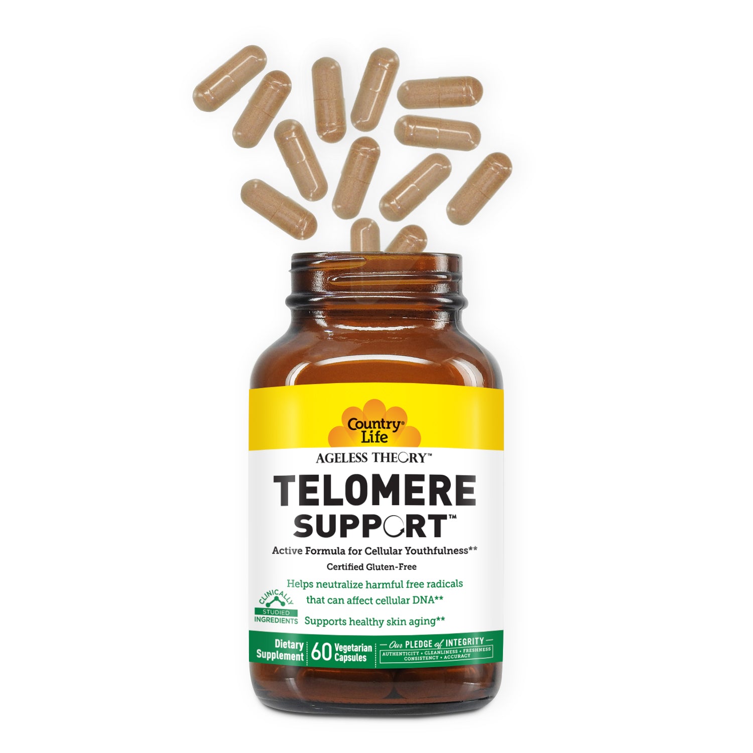 Ageless Theory™ Telomere Support™ media carousel view 3
