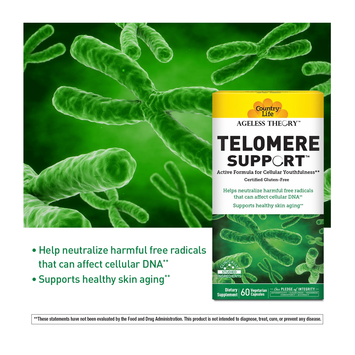 Ageless Theory™ Telomere Support™ media carousel view 4