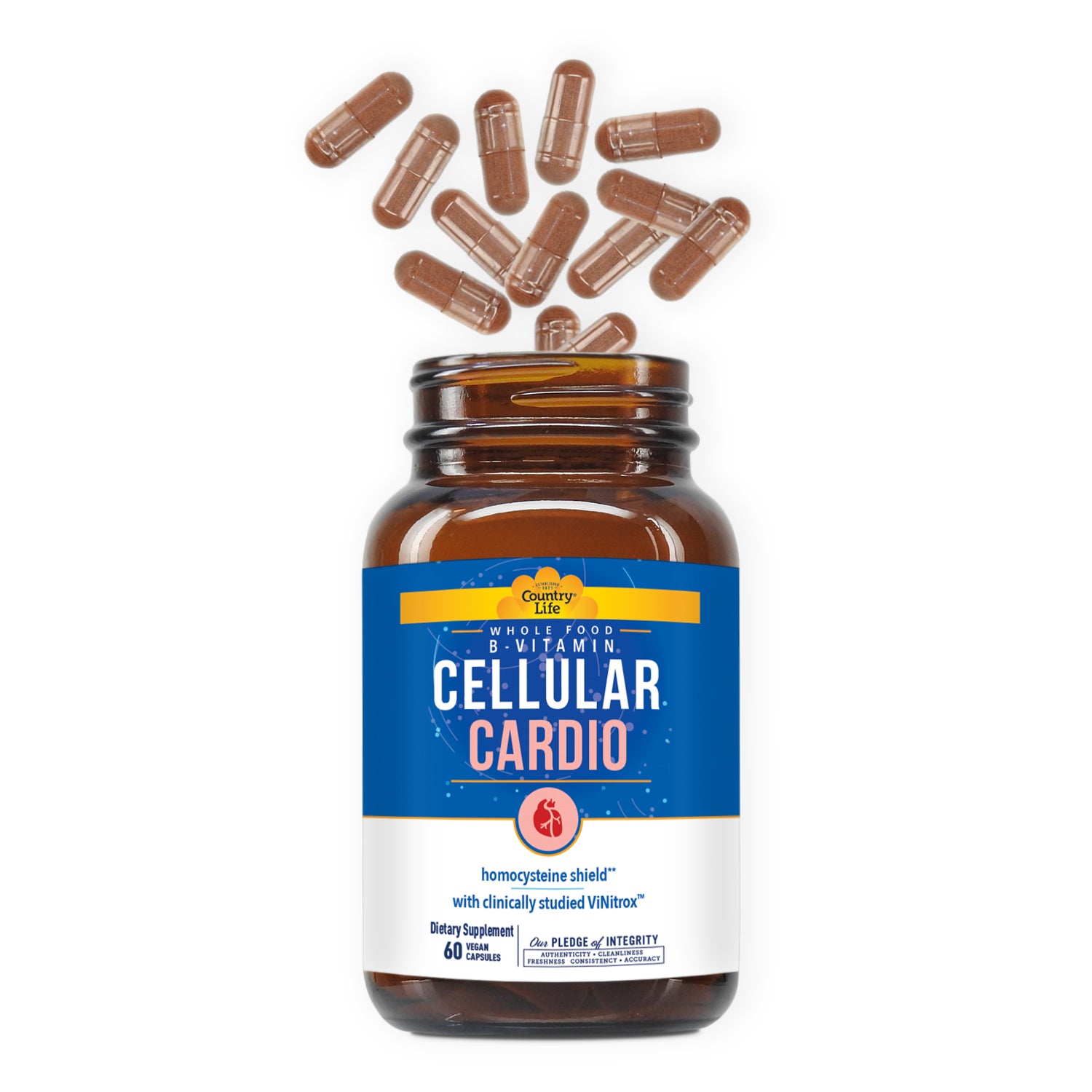 Cellular B - Cardio media carousel view 3