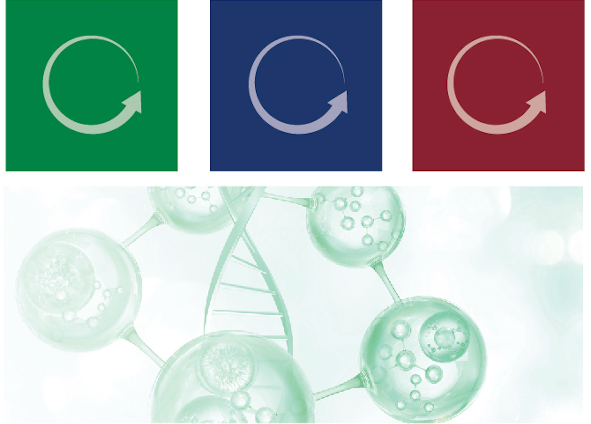 A graphic depicting DNA strands, molecules, and cells
