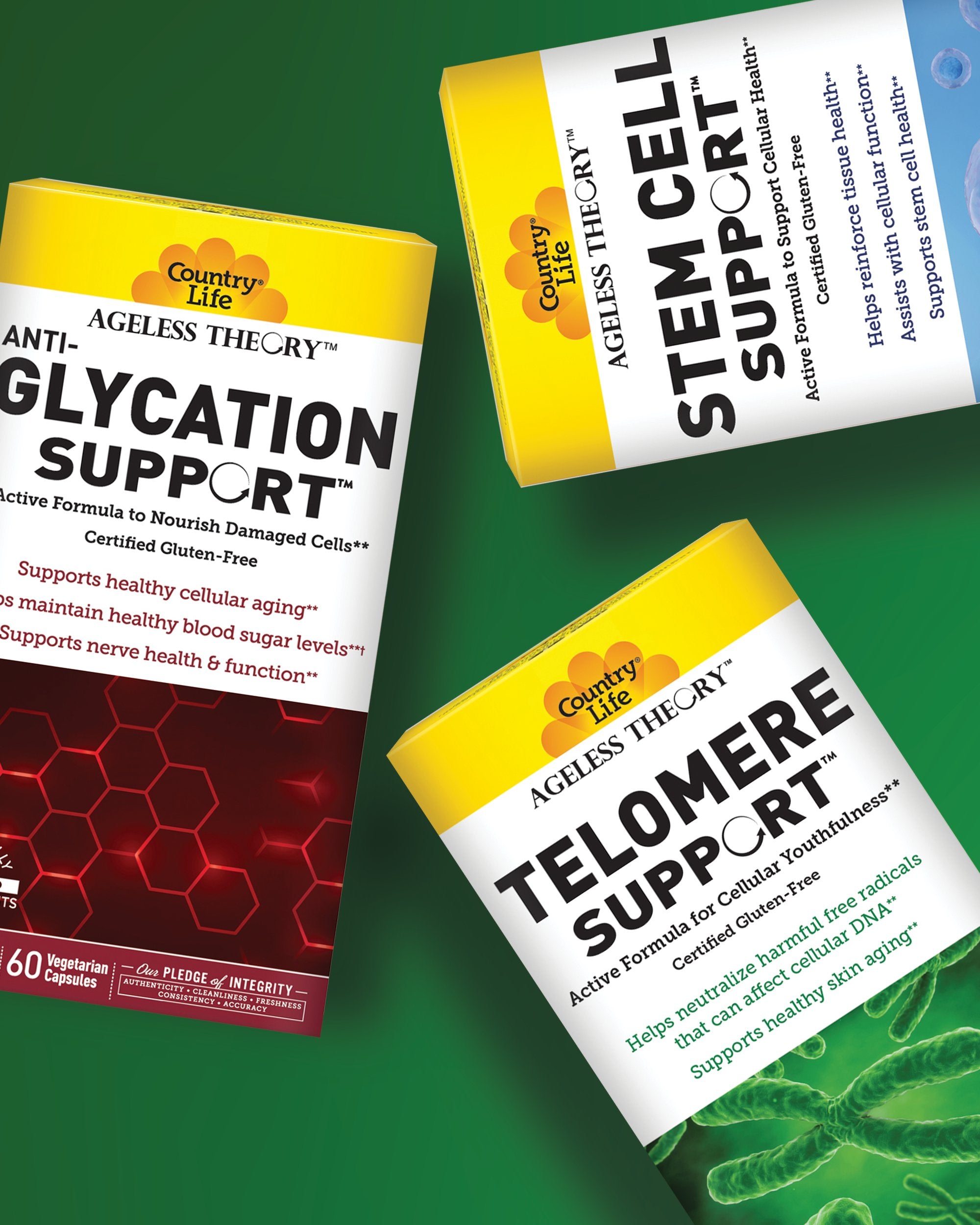 A collection of Ageless Theory Supplements on a green background