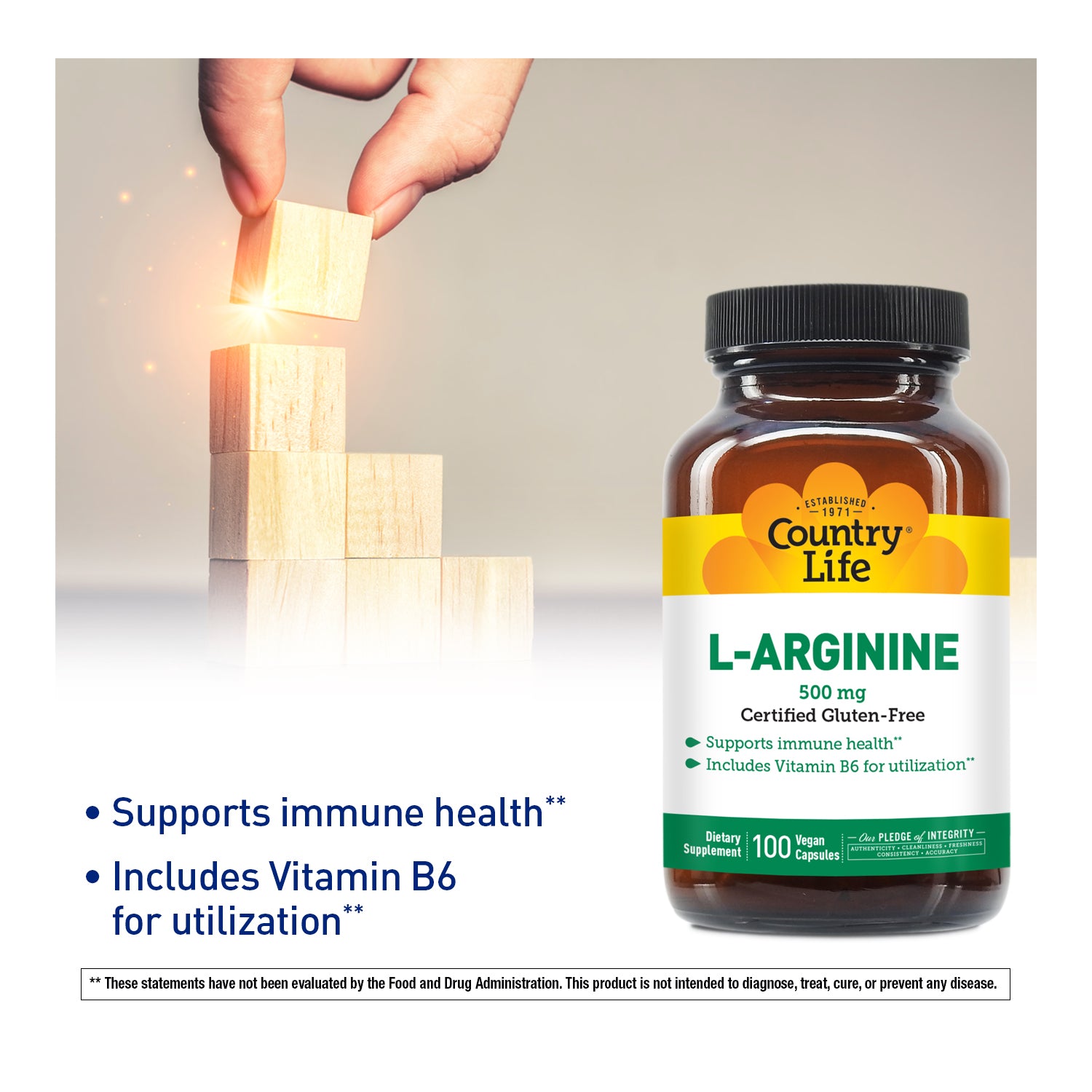 L-Arginine vitamin bottle with building blocks 