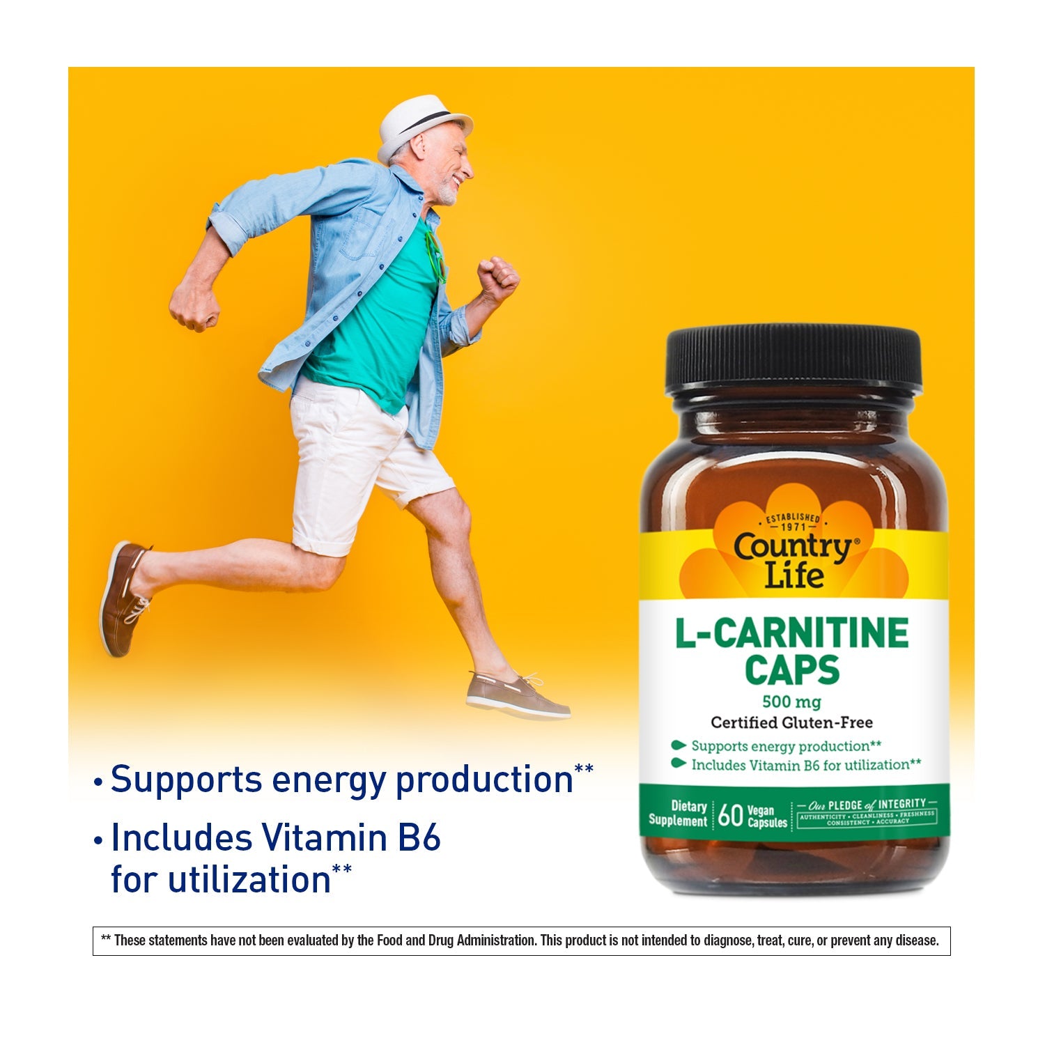 L-Carnitine 500 mg Supplement | Energy and Fat Metabolism Support Country Life Vitamins L-Carnitine 500 mg Supplement | Energy and Fat Metabolism Support Country Life Vitamins