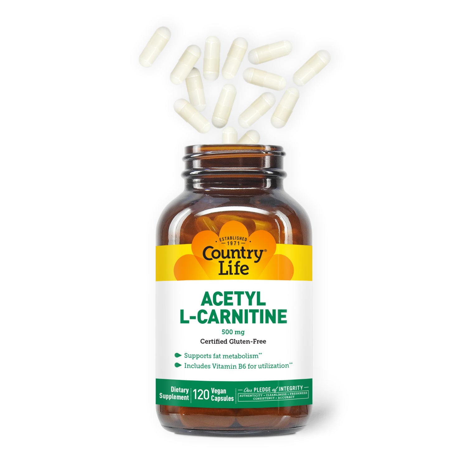 Acetyl L-Carnitine 500 mg Supplement | Energy, Cognitive Support Acetyl L-Carnitine 500 mg Supplement | Energy, Cognitive Support