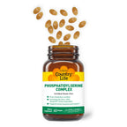 Phosphatidylserine Complex