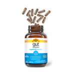 Gut Connection® Cognitive Balance™
