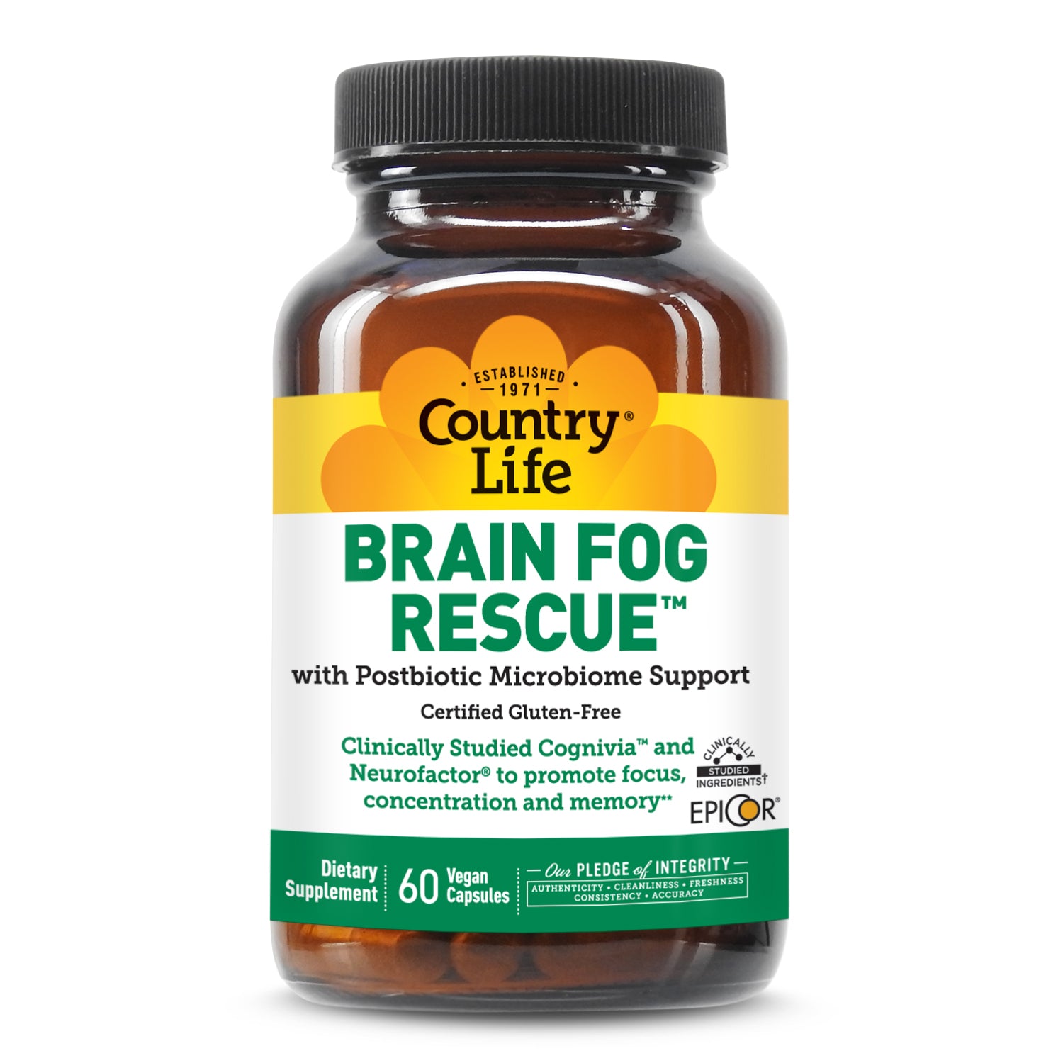 Brain Fog Rescue