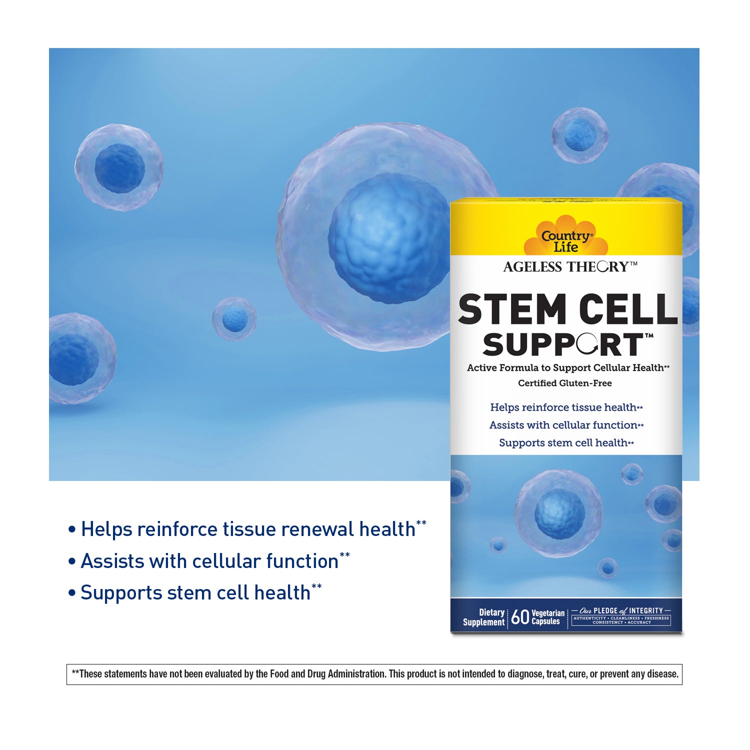 Ageless Theory™ Stem Cell Support™