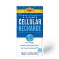 Cellular B - Recharge