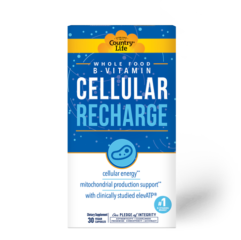Cellular B - Recharge