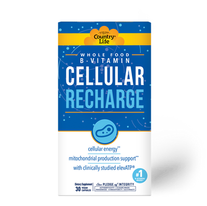 Cellular B - Recharge