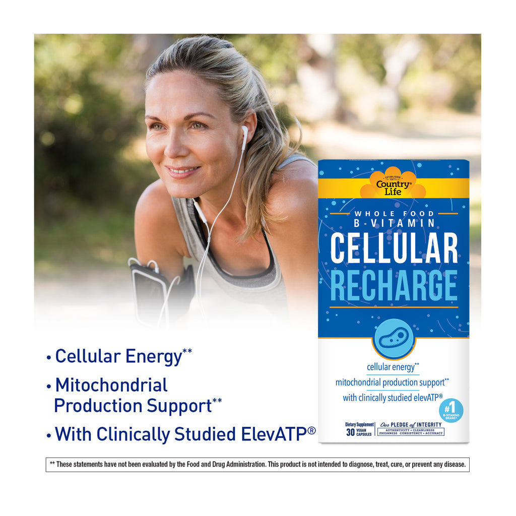 Cellular B - Recharge