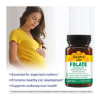 Folate 800 mcg Folic Acid