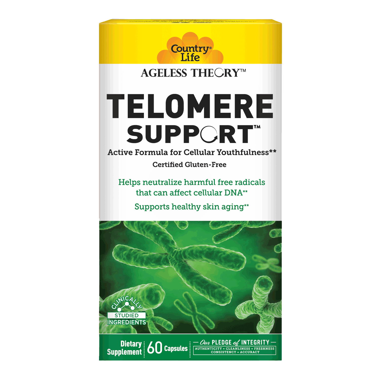 A photo of the Ageless Theory Telomere Support packaging