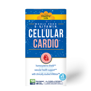 Cellular B – Cardio